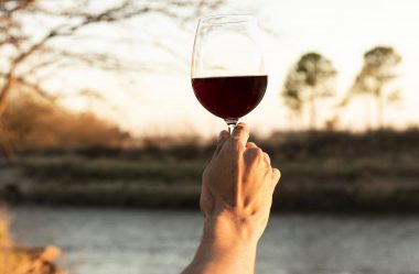 Por que o vinho suave é tão julgado?